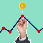 Capital Investment
