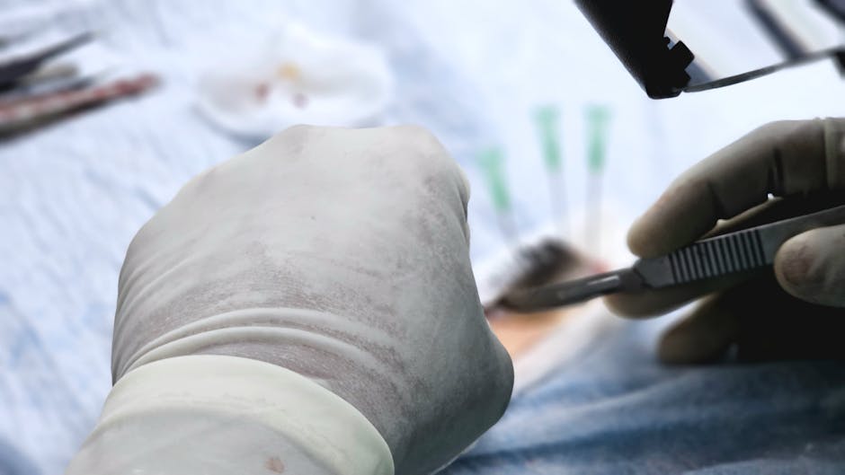 Hair Transplant