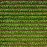 organic farming supplies