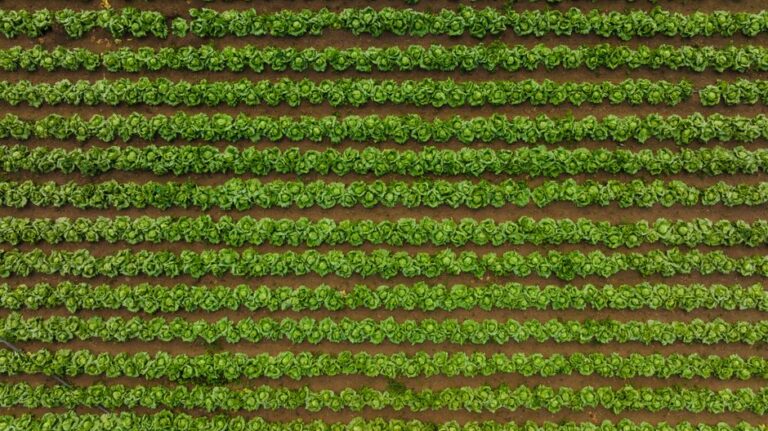 organic farming supplies