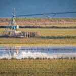irrigation system
