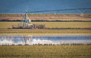 irrigation system