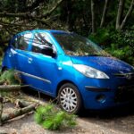seguro de coche barato