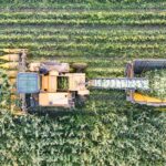 crop insurance