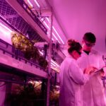 vertical farming technology