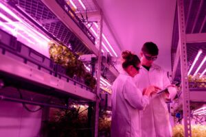 vertical farming technology