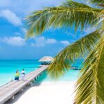 vacation packages