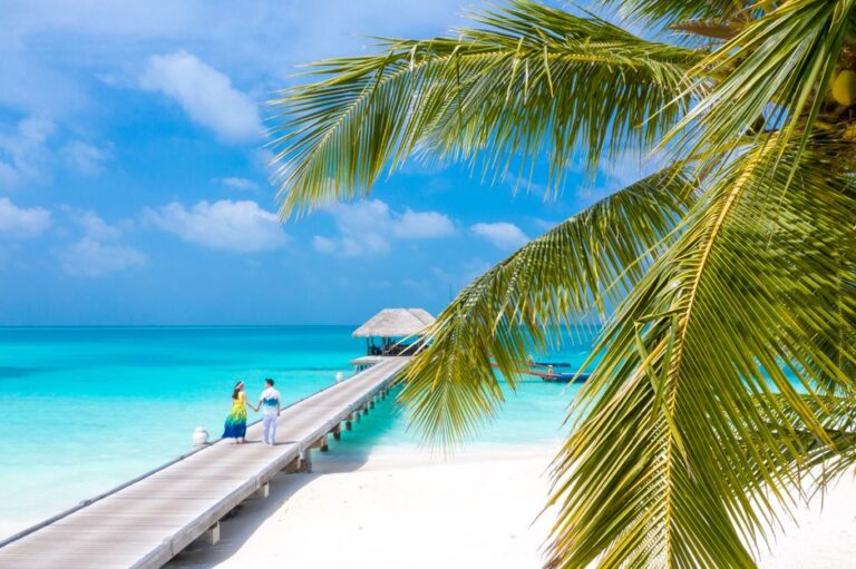 vacation packages